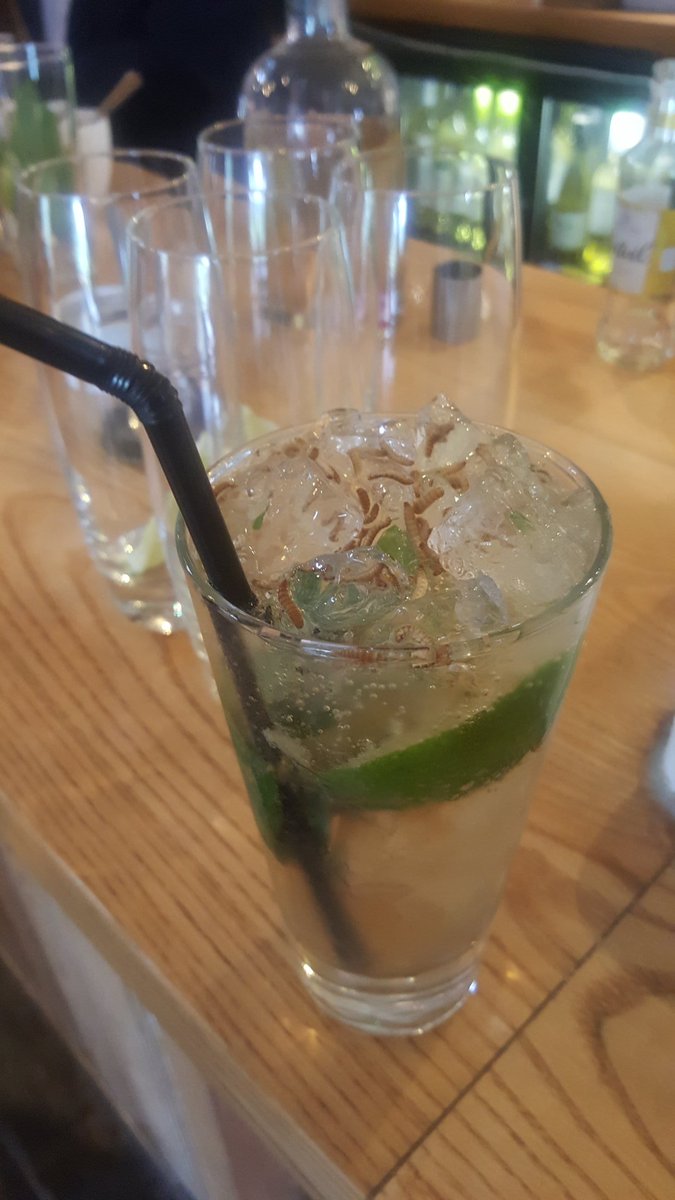 speedcomms's tweet photo. Great launch event tonight for Celtic Manor Resort's Grub Kitchen pop-up restaurant at Newbridge on Usk. Lots of people trying mealworm mojitos and ant-infused G&amp;Ts! @TheCelticManor @bugfarmfoods #launch #celticmanor #grubkitchen https://t.co/tNNmT6ThIi