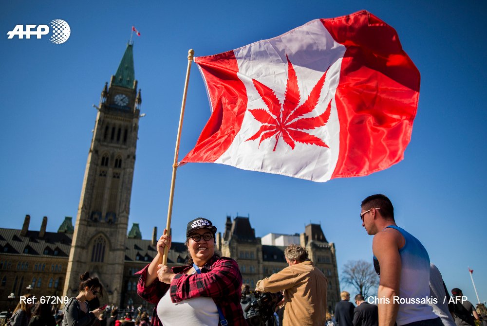 Le Canada deviendra ainsi le premier pays du G7 à autoriser cette drogue à des fins récréatives, et le second au monde après l'Uruguay #AFP