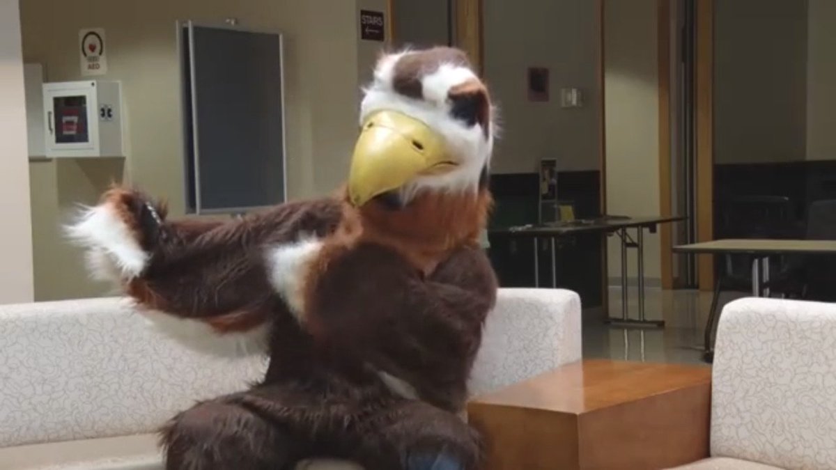 CSMHawks's tweet photo. Today is #NationalSelfieDay! Join the CSM Hawk and snap a #selfie in your favorite College of Southern Maryland merchandise using #CSMSelfie for a chance to be featured on our Instagram! https://t.co/oJ2skkew8y