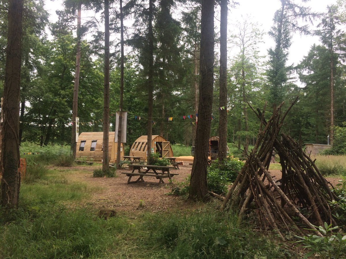 SachaLee0's tweet photo. Learnt so much yesterday about nature and hanging from trees all in the same convo @GravityLevity at the beautiful Foxbury enclosure thx for sorting Phil Smith @MottisfontNT #PointHome exciting project brewing https://t.co/pRf7OpjstP
