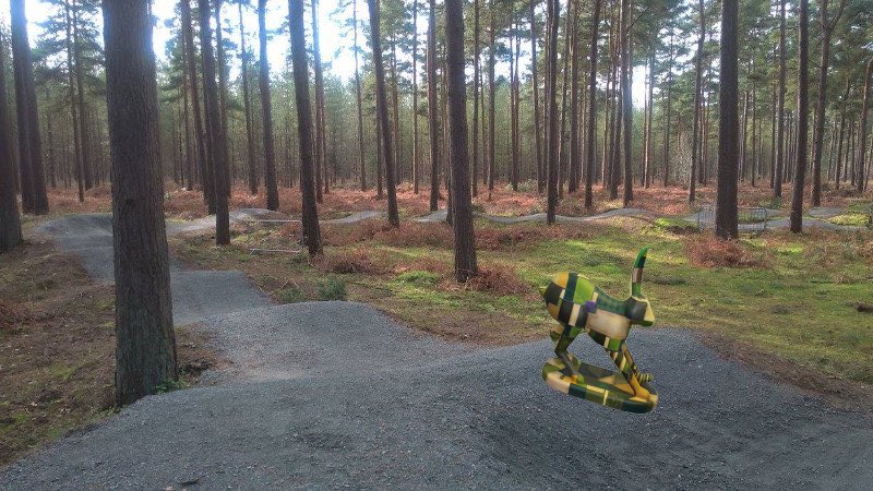 GoGoHareForrest's tweet photo. @ThetfordAcaduk @GoGoHareForrest @break_charity @GoGoHares2018 @TakeYourPlaceHE The good weather has bought Forrest into Thetford Forest today! Why don’t you get out and about and enjoy the beautiful countryside this weekend! https://t.co/0pxrB5jFzX