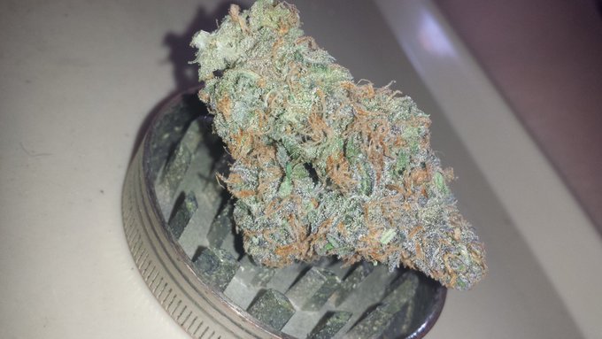 This mornings festivities!!! https://t.co/UKj2umchUg