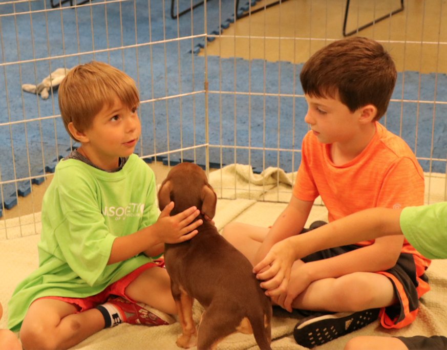 These guys made some friends at camp today! There is still time to sign up - visit hswestmi.org/camps/ for more info!