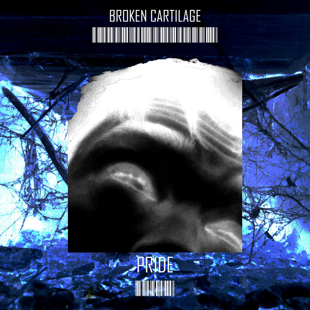 BrokenCartilage's tweet photo. https://t.co/OiD5juQwS2