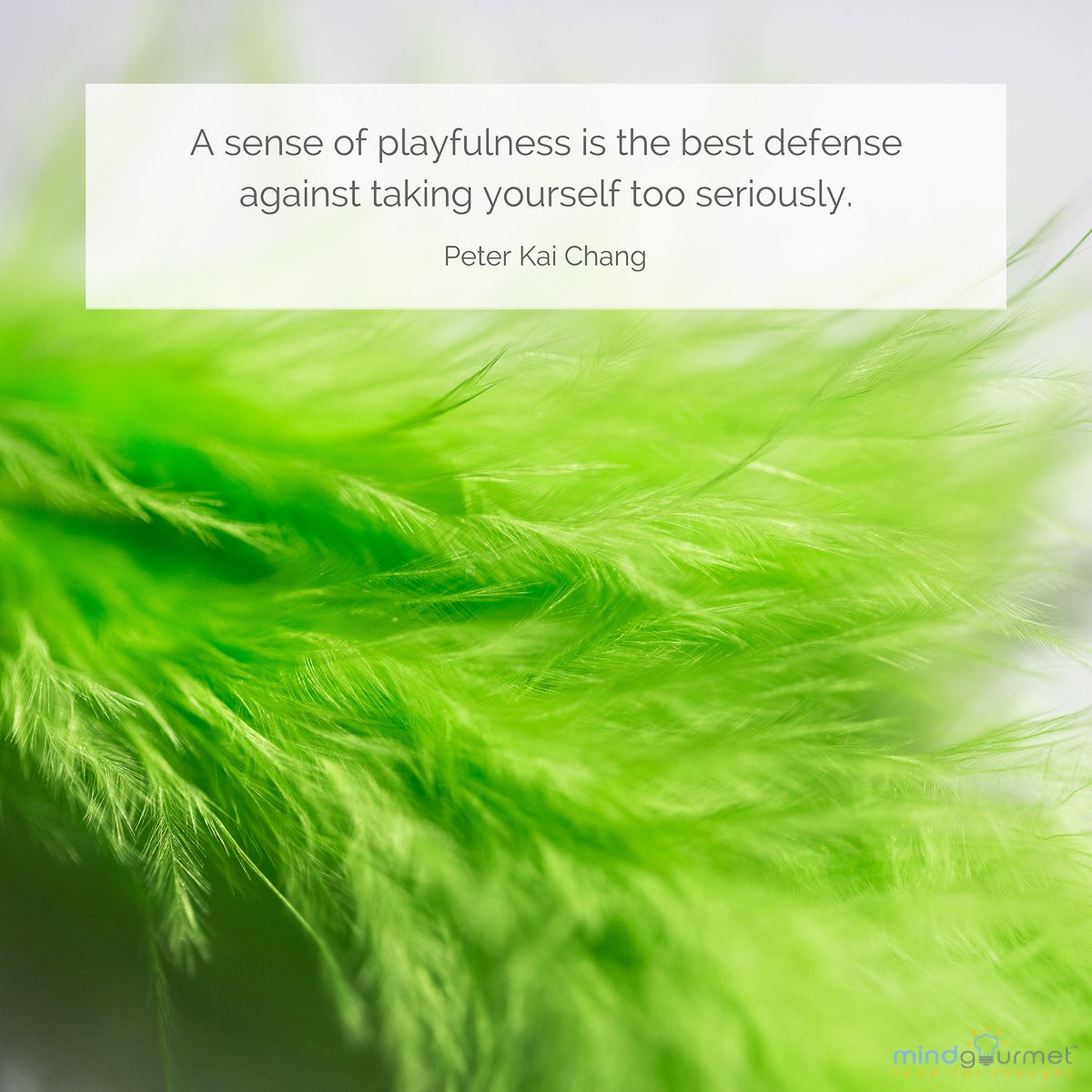 A sense of playfulness is the best defense against taking yourself too seriously. - Peter Kai Chang
#mindfulness
mindgourmet.com/catch-of-the-d…