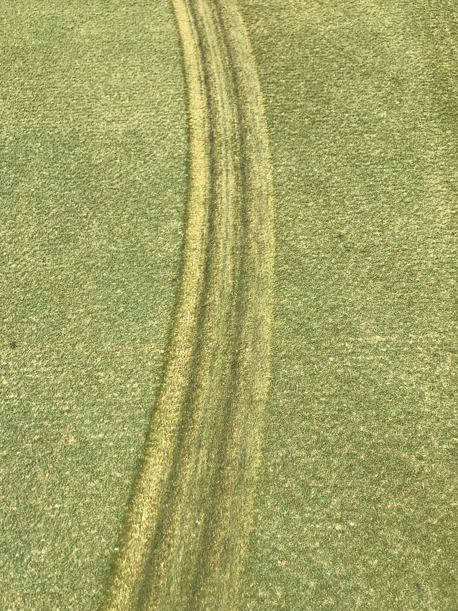 Donut on #6 green. #superproblems