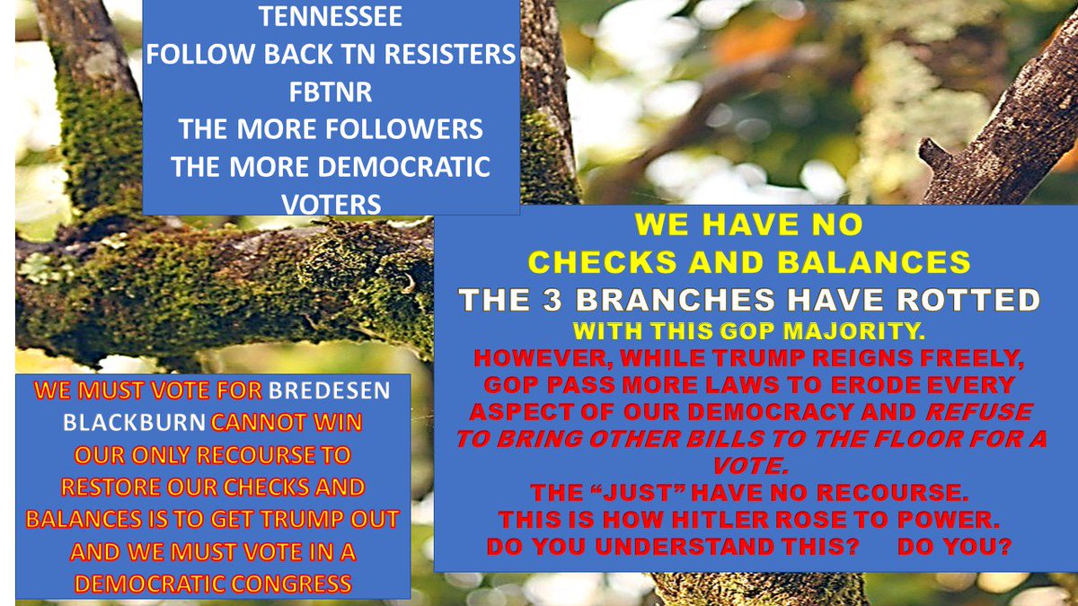 rr7lv's tweet photo. @WKRN #turntnblue #thankajournalist for the #ExecutiveOrder #impeachtrumppence @realDonaldTrump #liarinchief OMG #StopSeparatingChildren AND HOPE NO CHILDREN HAVE BEEN SHIPPED #TN TO OUR #DCS #TN SYSTEM @NashvilleResist HAS TIME FOR #TRUMPRALLY BUT NO #congressionalpicnic #REUNITENOW https://t.co/ZHOXJg3DmJ