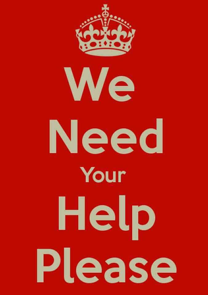rosiedoc666's tweet photo. MIDSUMMERS DAY
#tweetstorm #twitterstorm
21/6/18 8-9pm
#getTobyhome #findmissingToby
@blacklab115 @miss_vertonghen @suedaycam
HES THE #cocker that does a #handstand type 'thing' when he has a wee πΎπΎ
#missing 10/2/18 #Guisborough #TS14
https://t.co/iBEjUstV98β¦ https://t.co/x6831CUvVh