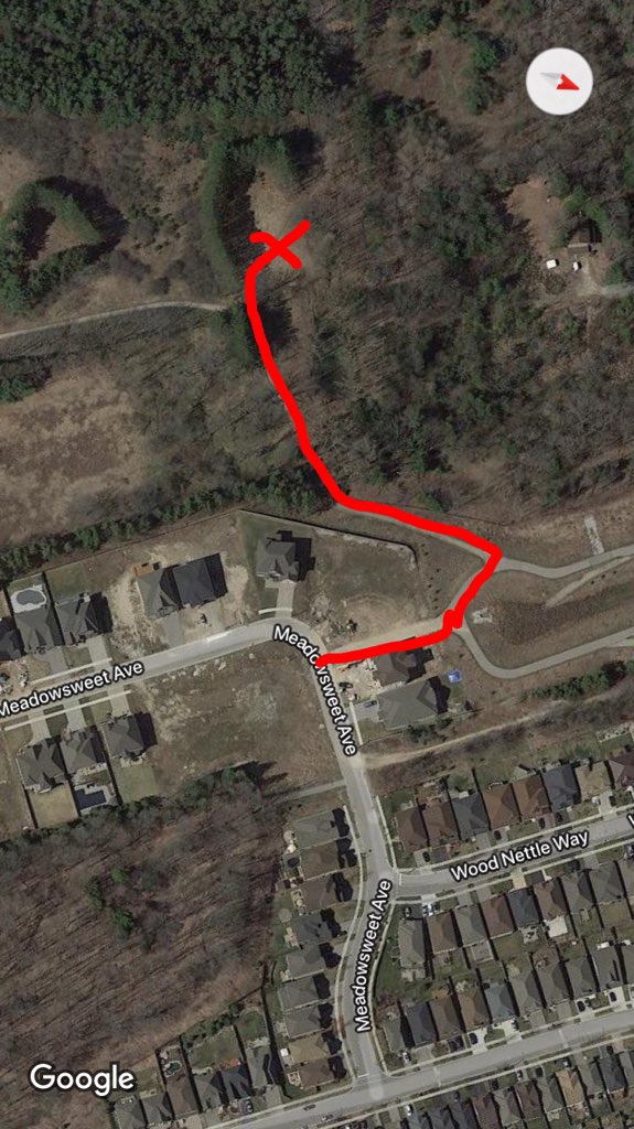 danprotd's tweet image. 