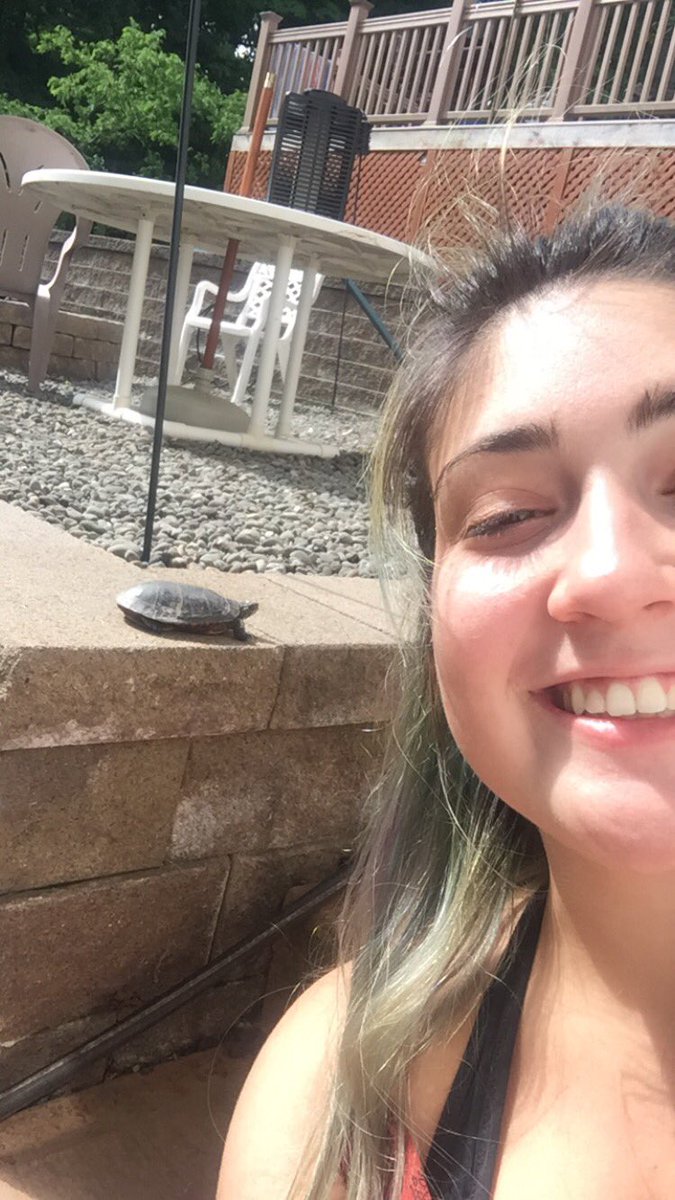 steph_alifano's tweet photo. so this is the turtle that lives under my back deck! π’ we named him Rock because he blends in with the many rocks in the area #RockTheTurtle https://t.co/5n9kKCWBhN