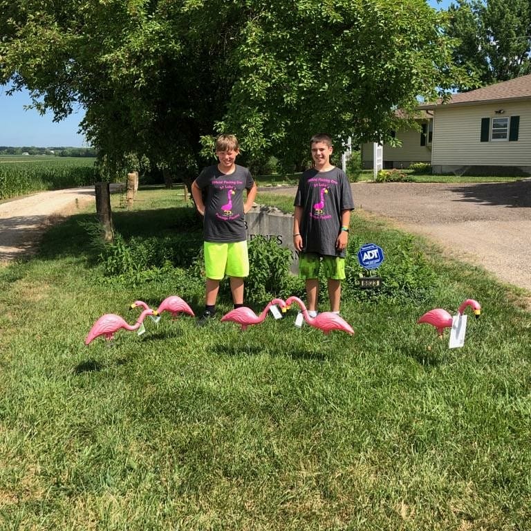 StLukesMHK's tweet photo. The Flamingos have been busy traveling the last several days!!! If you have anyone you want to show some love too please let us know!!! #stlukesmhk #flocksoflove #rootedyouth #flamingoflocking https://t.co/DHjGO3VAur