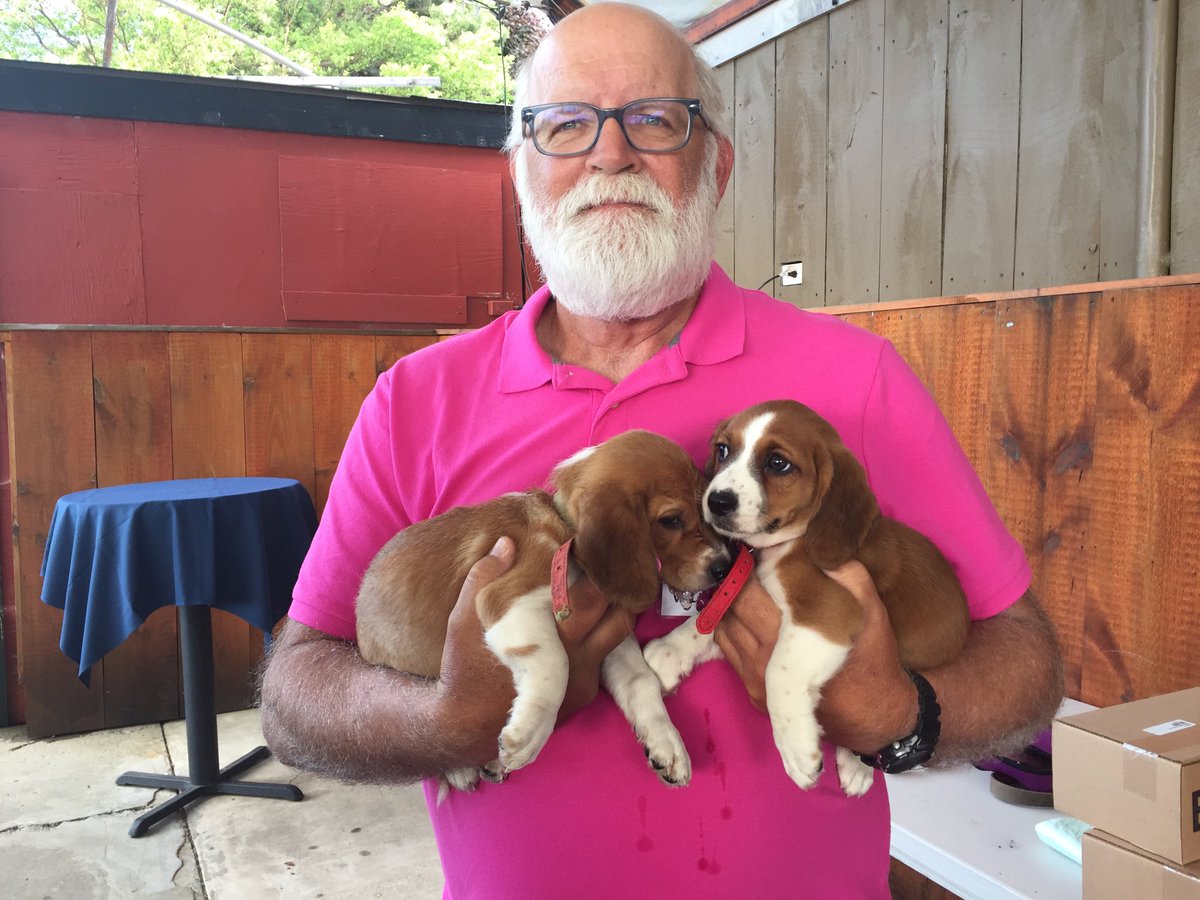 TheHitmanBrett's tweet image. Armfuls of puppies!!  Get to know these little guys at Public House on the Lake!  #PupsNPints until 7pm. Our friends from ⁦@clydesfeed⁩ are here too with lots of great prizes!