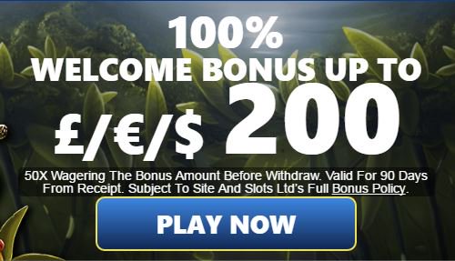free slots with bonuses free online free slots with bonuses free online