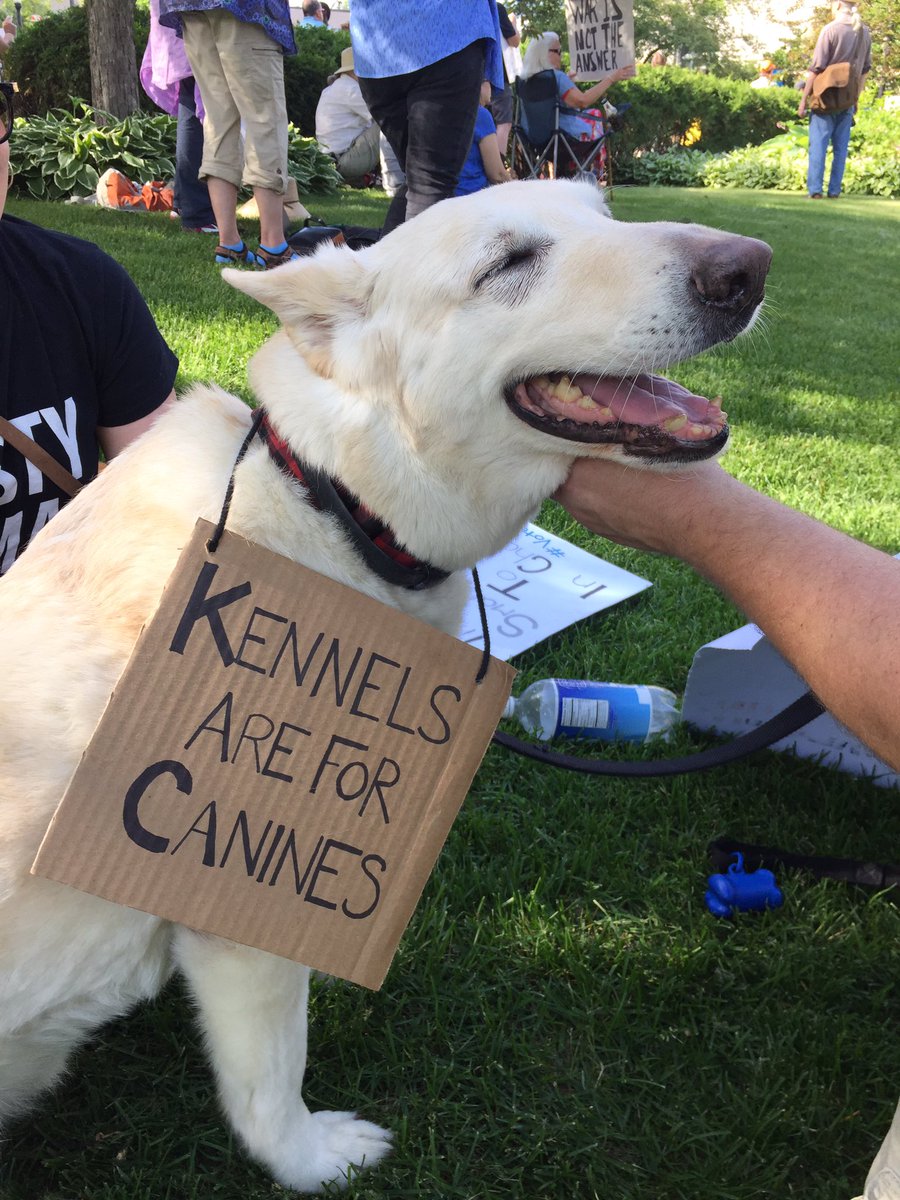 akpix's tweet photo. Polar the dog with his own sign at anti-Trump rally outside #Duluth City Hall this afternoon just ahead of Trump rally at Amsoil Arena. #TrumpDuluth https://t.co/XCjslZth9D