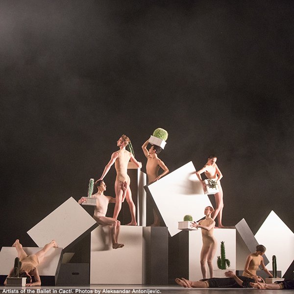 nationalballet's tweet photo. Attending #PazdelaJollaNBC &amp; #CactiNBC &amp; #TheManinBlackNBC? Karen Kain primes you on what you need to know >> https://t.co/HvIEupePgj https://t.co/caG2PmcI1w