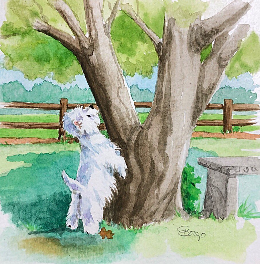 thewestiegang's tweet photo. #30x30directwatercolor2018 Squirrel https://t.co/YvWkC9OUKh