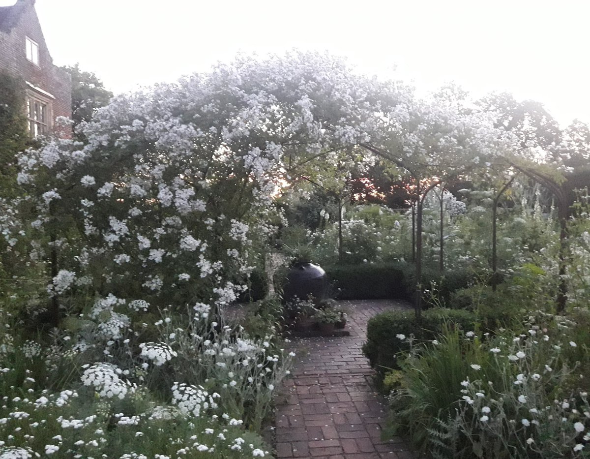 Day break in the white Garden at Sissinghurst on the summer solstice