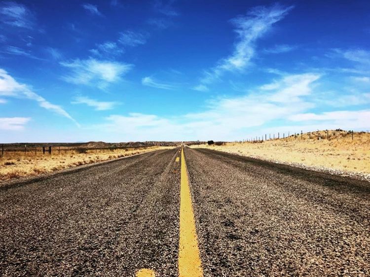 Palm Drive Productions tweet media