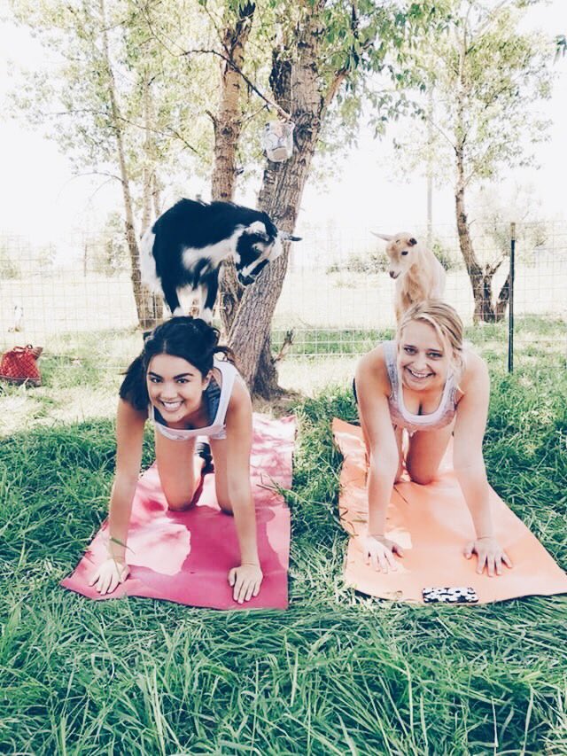 Alpha Phi is the G.O.A.T. 🐐😋 #DrakeAlphaPhi #durecruitment18 
<a href="/hiyaimmaiya/">Maiya</a> @BritainLehrer