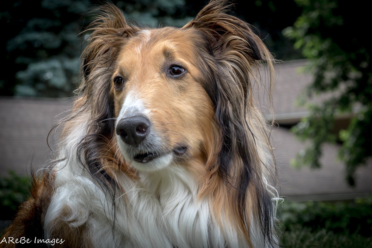 Bob Black tweet media