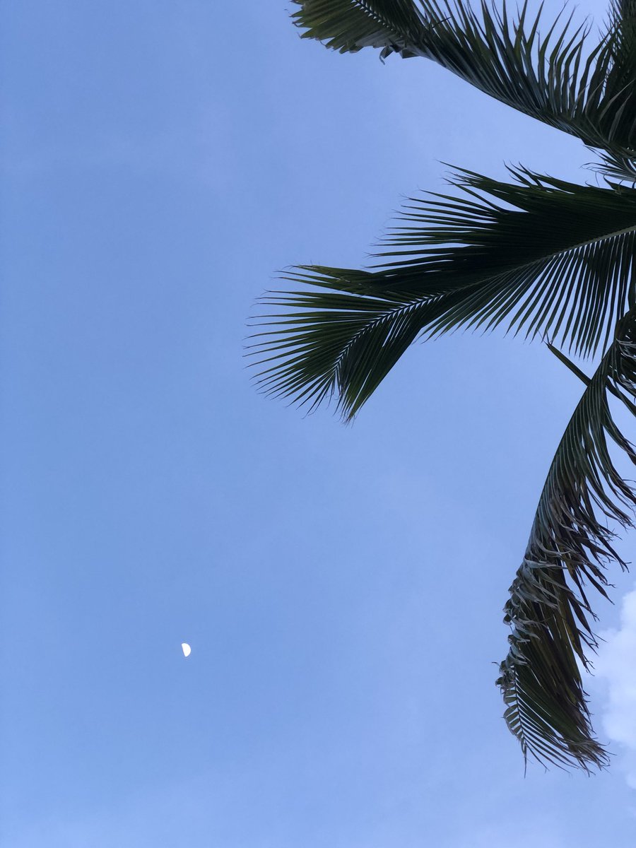 aynigroup's tweet image. #LastDayOfSpring #Miami