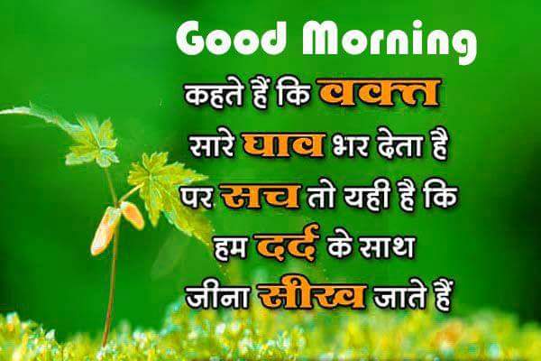 RoopaKumari10's tweet photo. Good morning friends. https://t.co/M3cC1B2WXP