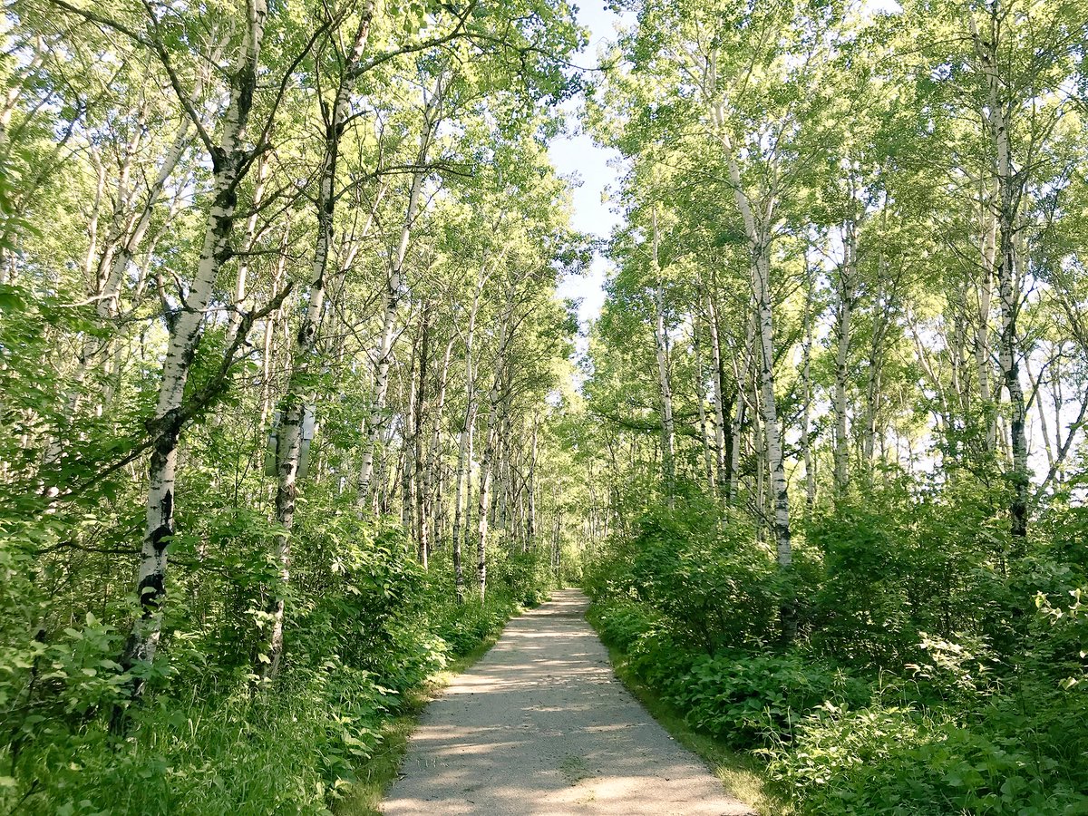 vittemily's tweet photo. Nature Photograph Challenge in Beausejour’s beautiful Chryplywy park, first time visiting with the kiddos and it was a hidden gem! #ExploreMB https://t.co/VDKPO9iR2W