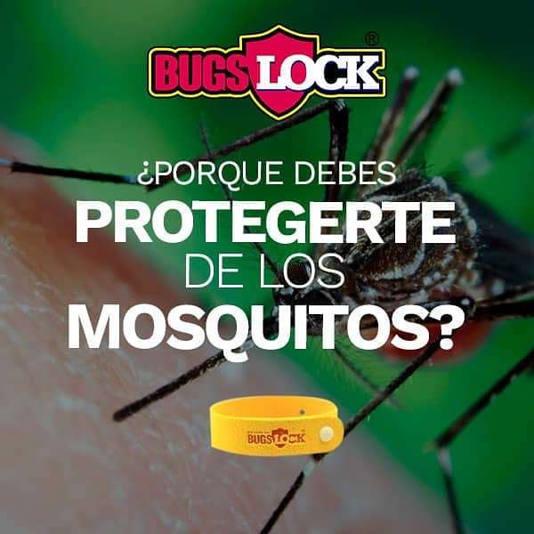 BugslockRD's tweet photo. Los mosquitos representan una amenaza para la sociedad, 🌍 debido a que transmiten enfermedades como el dengue y/o chikungunya.🍃 Las cuáles pueden resultar peligrosas durante el embarazo o para las personas de la tercera edad.
.
¡Infórmate y cuídate c… https://t.co/4ukvYBC4ds https://t.co/EbBgM9F4zk