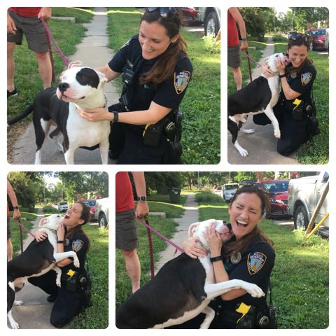 Lincoln_Police tweet picture