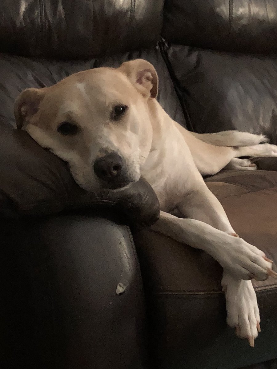 daniel prosser tweet media