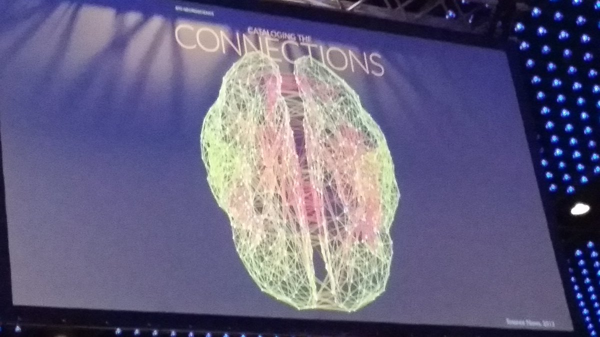 On the last day oh #OHBM2018, Martijn van den Heuvel starts his keynote lecture by getting everyone @OHBM to talk about 'connectivity' and 'network'.