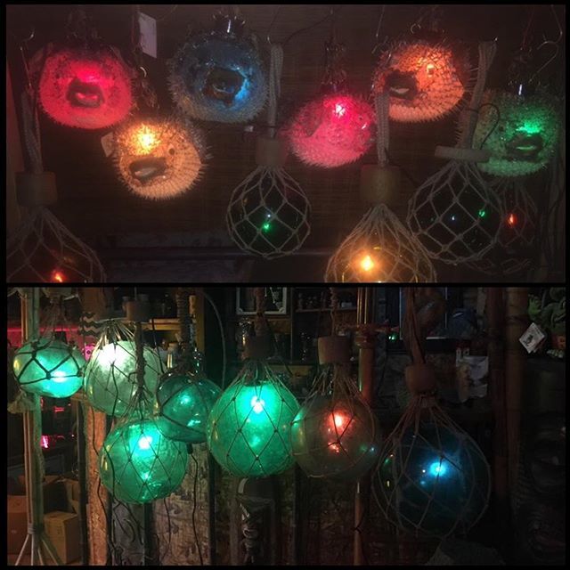 Tikiland Trading Co. tweet media