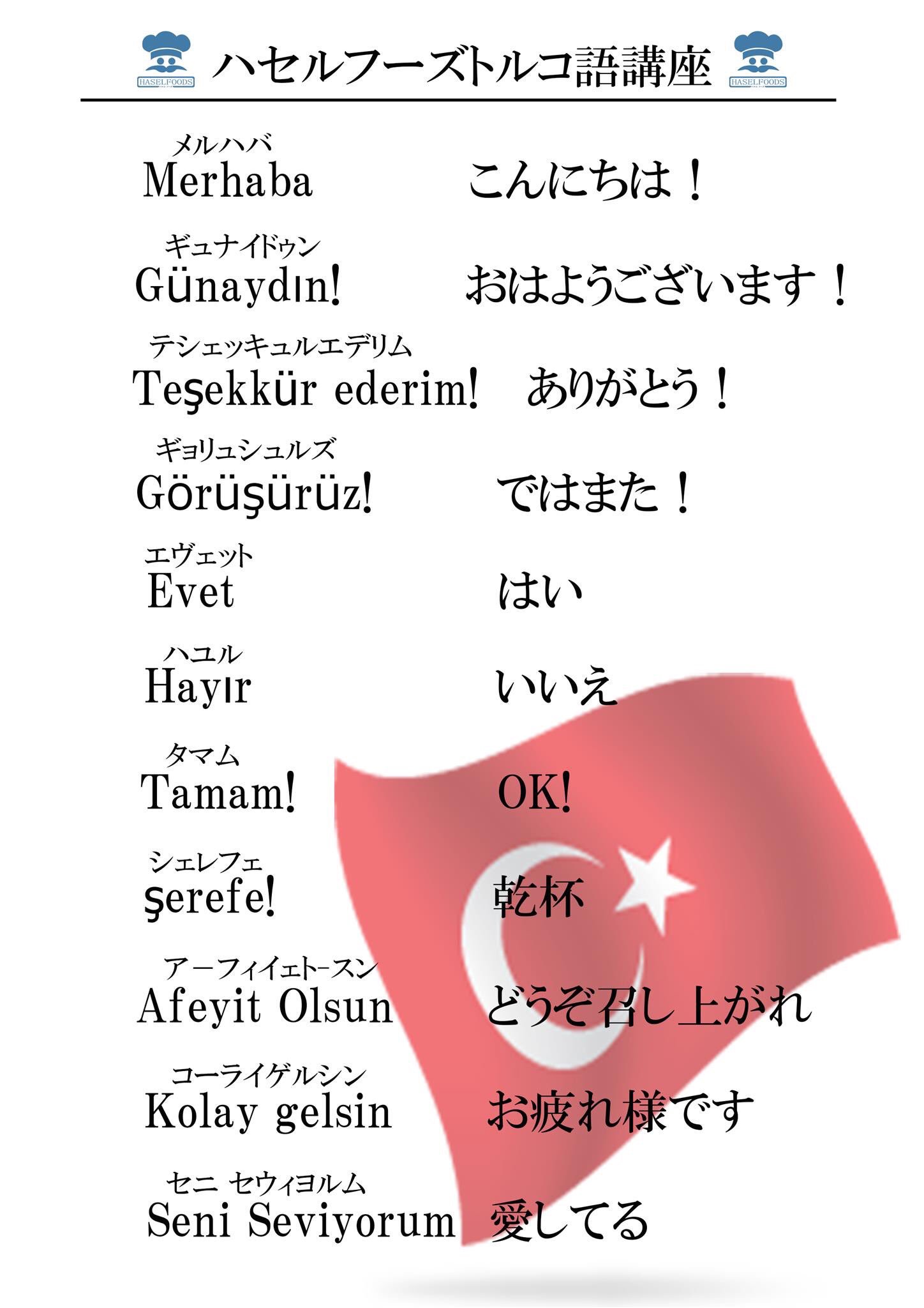 トルコ語辞典 | 竹内 和夫 |本 | 通販 | Amazon
