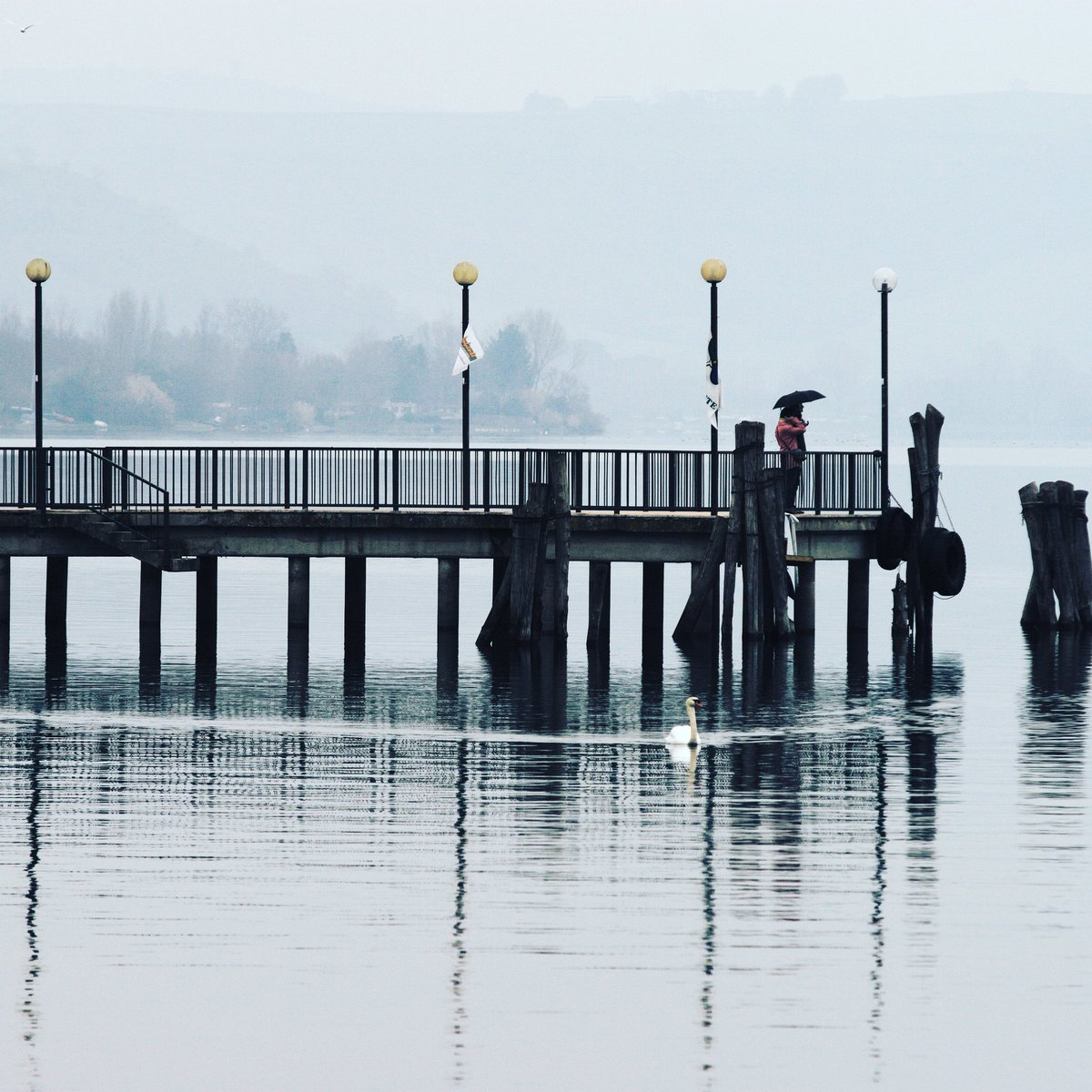 DiveSite_'s tweet photo. Also thought #Lake #Bracciano was pretty cool. It’s a #dive within the #crater of a now extinct #volcano.
#Italy #Europe #getdivesite #divesite #marinelife #underwater #underwaterphotography #naturephotography #scubadiving #scuba #diving #PADI #sharks #coral #Roman #freedive https://t.co/JX5a0Ol5O5