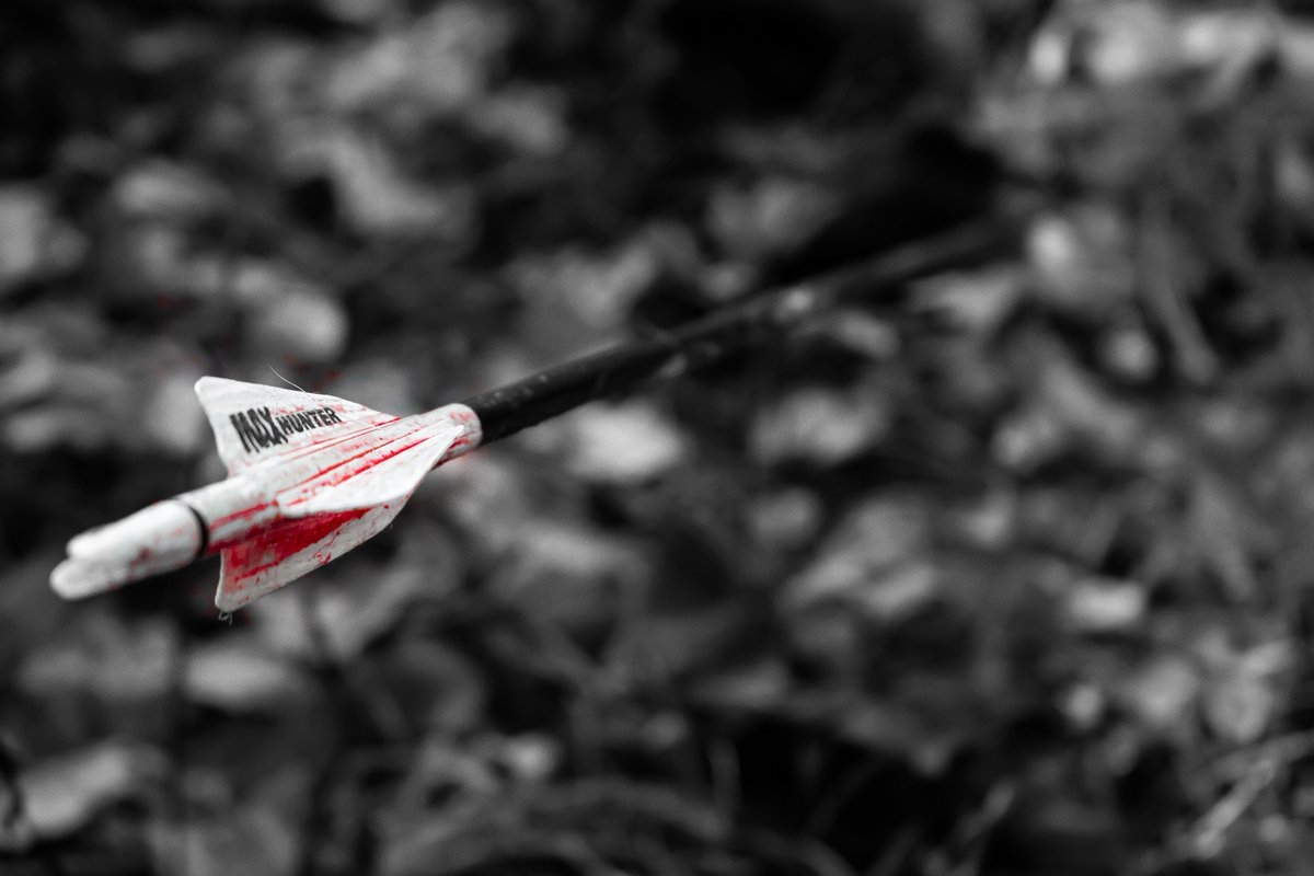 JasonTome's tweet image. I'm starting a monthly blog series called "The Monthly Breakdown" Check out what it entails! mainelywhitetails.com/whitetail-mont… #whitetail #bucks #scouting #hunting #tactics #bowhunting