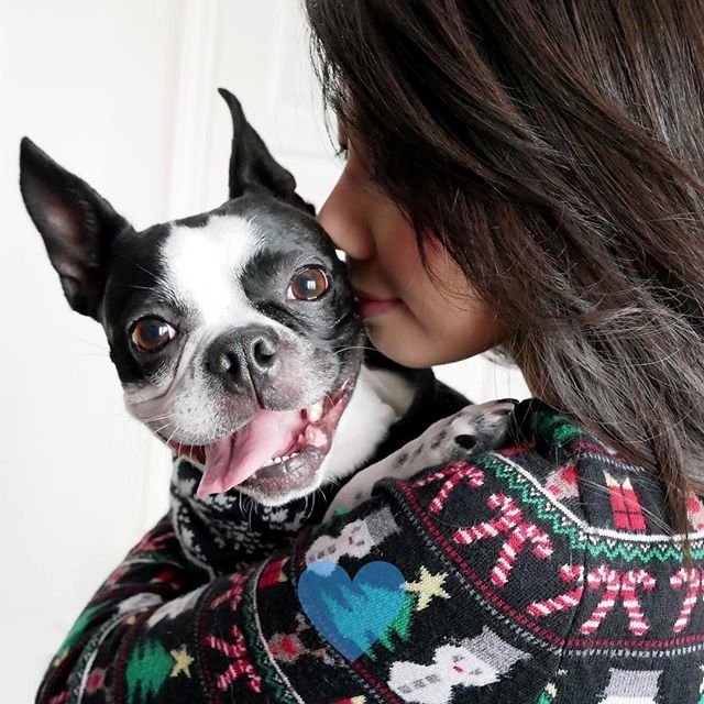 It’s mom’s birthday today!! 🎉 Her birthday usually gets overshadowed by Christmas, and she complains she never gets enough presents 🙄 but I gave her like a MILLION kisses to make sure her day’s special ❤️😛❤️
.
.
.
.
#badassbostons #bostonterriercult #bostonterriersofinst…