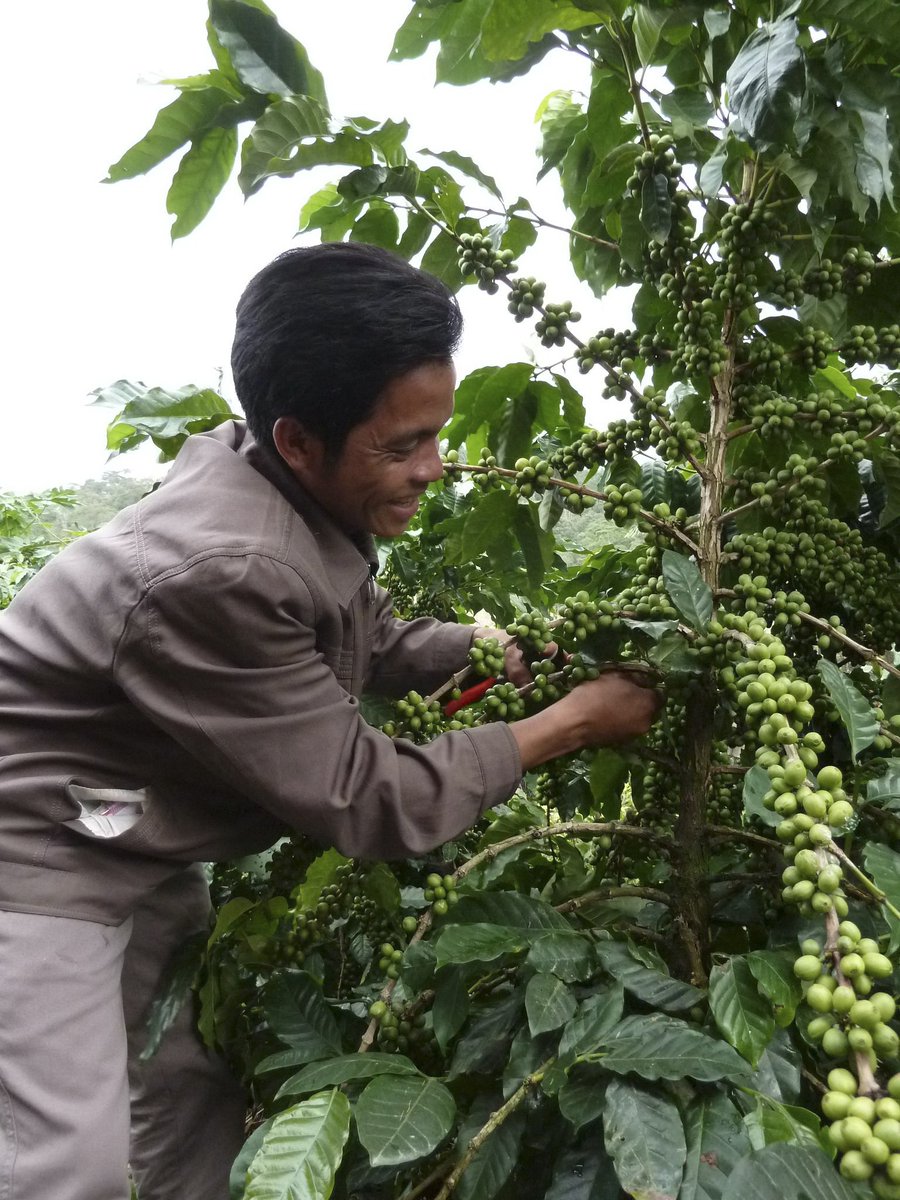 Project funded! <a href="/CARE/">CARE (care.org)</a> is training farmers in Laos to help lift their families out of poverty with help from micro-donations by <a href="/WorldNomads/">World Nomads</a> travelers footprintsnetwork.org/project/184/Bo…