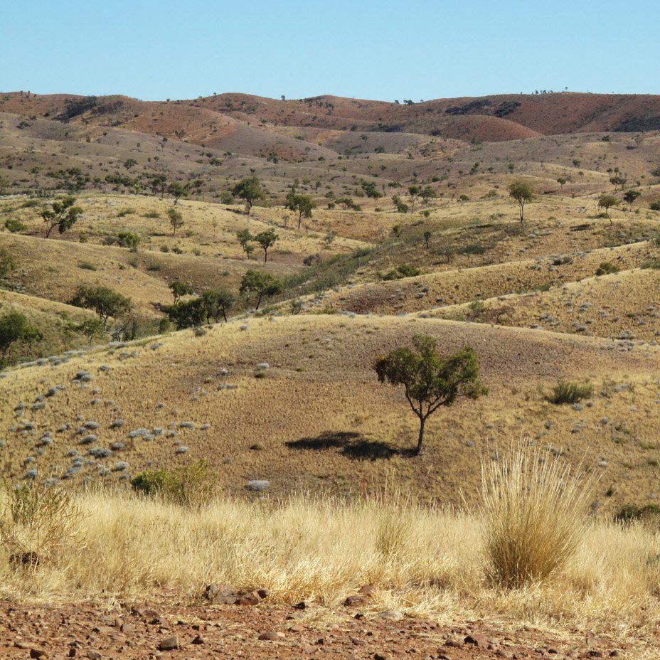 convex_photo's tweet image. NT - Central Australia #travel #nature #outdoors #australia #outback