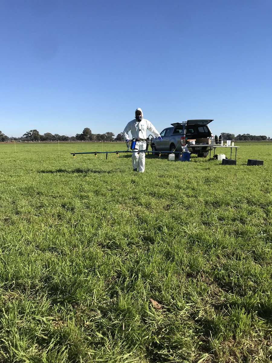 Sam_Toulmin_'s tweet photo. Trialling barley grass control options in annual ryegrass with @GusCalder and @Seamus_McKinley from Bayer. #koberag https://t.co/eceCsrFixl