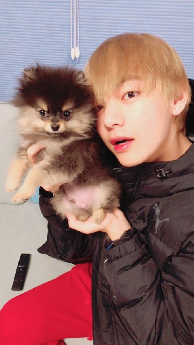 Twitter/BTS_twt