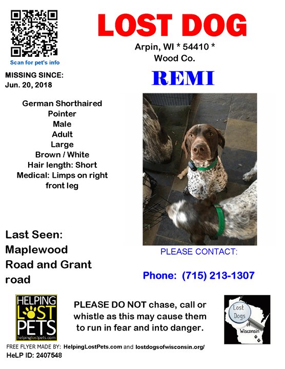 lost german shorthaired pointer