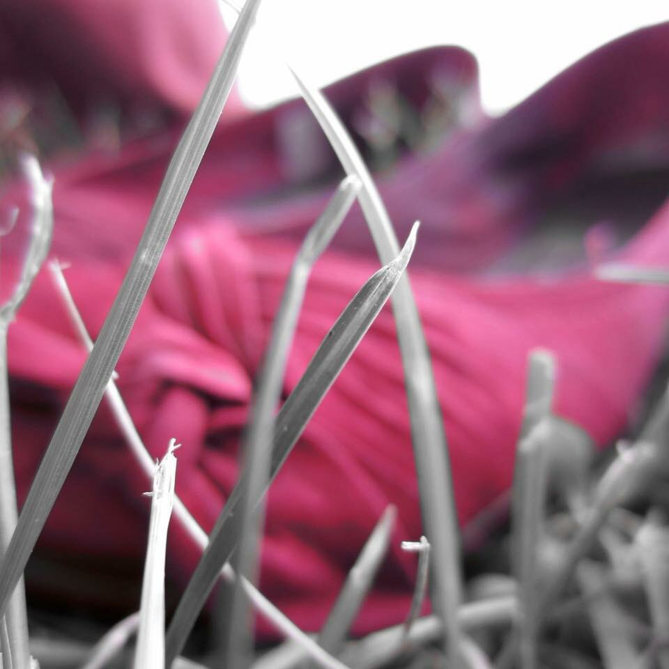 wordnerd37's tweet image. #nevergrowup #rubyreds #loveit #macro