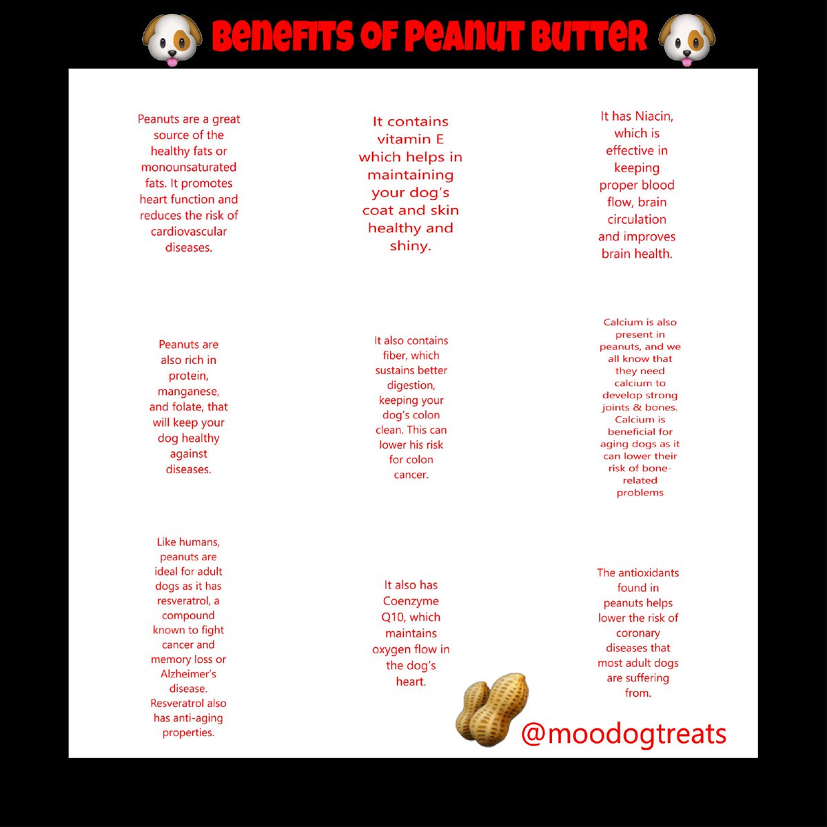 Moo Dog Cookies (@moodogcookies1) on Twitter photo 
