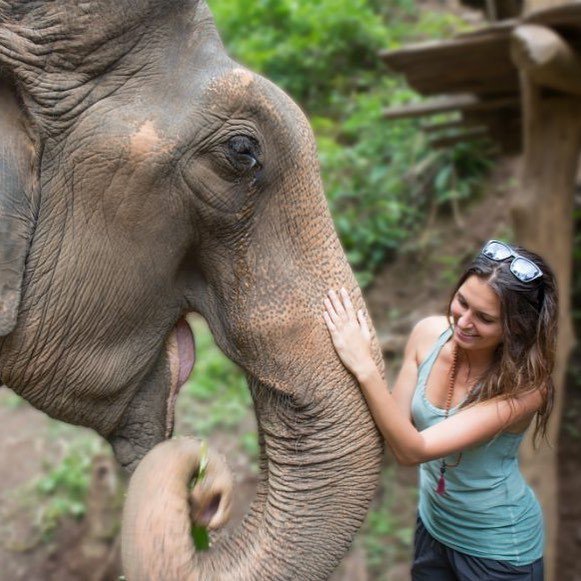 MobyMaps's tweet image. Memories like these, printed on Polaroid’s and pinned to your map... 🏞📍🗺
.
.
.
.
.
#tellyourtales
#mobymaps #mobymap #travel #elephants #seasia #backpacking #traveller #gapyear ift.tt/2ywvJU8