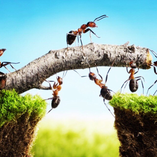 taskbreaker's tweet image. #teamwork #teambuilding #taskbreaker