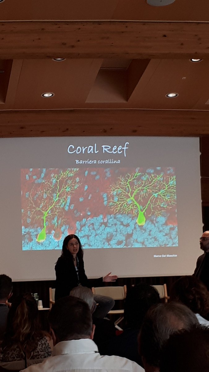 Le neuroscienze sono belle  @LauraCancedda #WeChangeIT