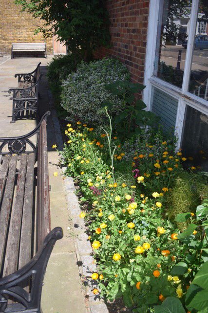bloominwhit's tweet photo. BloomIn #Whitstable projects looking fantastic this Summer #2018 #lovewhitstable #loveplants #communitygardening https://t.co/wipFOyq4uc