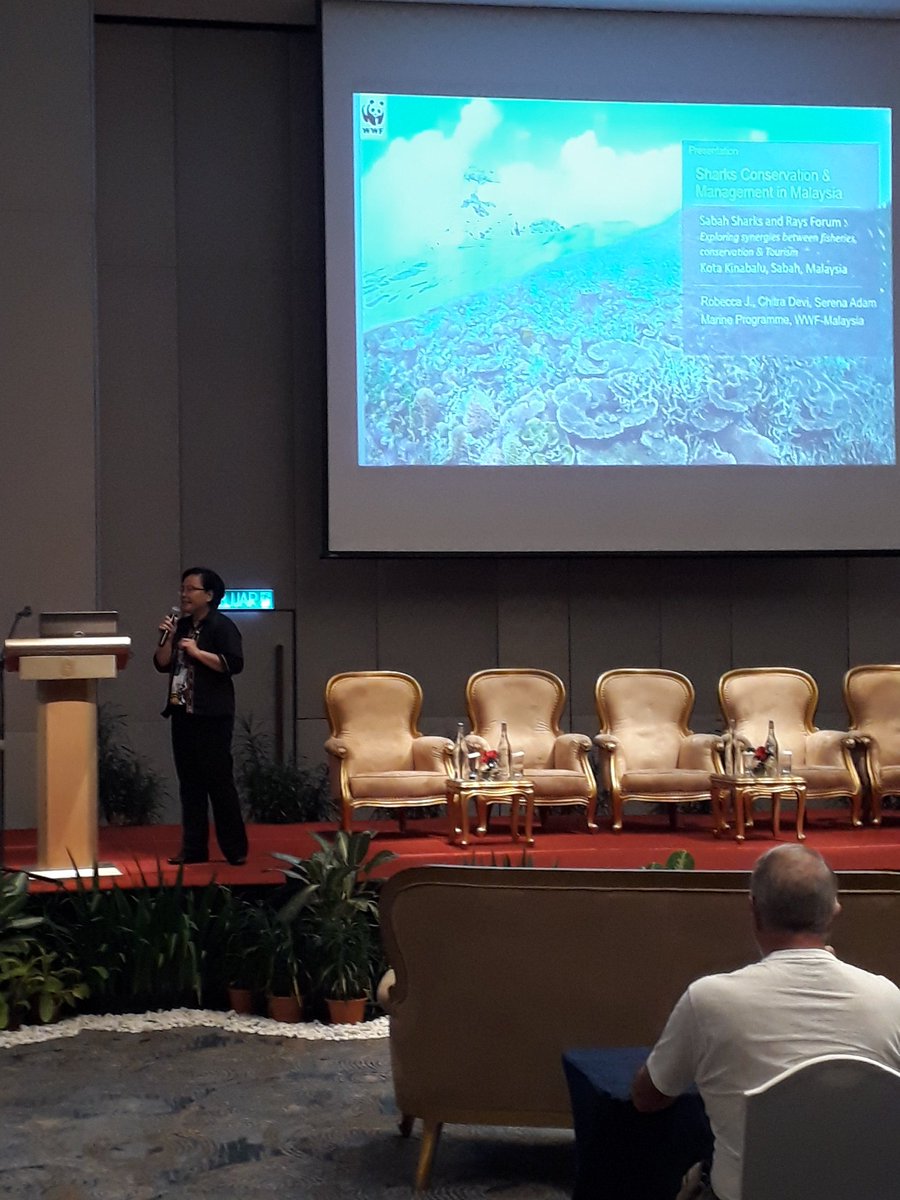 WWF_Sharks's tweet photo. @WWFMy Launching their vision for Malaysia's shark and ray populations with Robecca Jumin and @serenachua910 #SabahRays #SabahSharks https://t.co/3UvagKrOqn