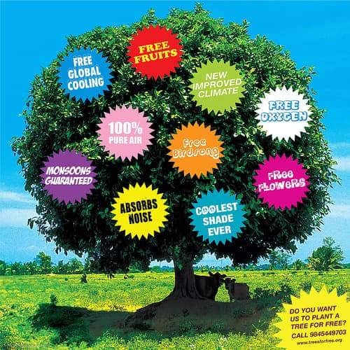 GreenBalochistn's tweet photo. If we protect trees , in return they will protect our environment.
#reduce_global_warming
#love_nature
#conserve_environment
#plant_and_protect_trees
#green_Balochistan
#make_green_Pakistan.
Help us motivate us to make aware the people regarding benefits of trees and plants. https://t.co/AWvAG1HzGm