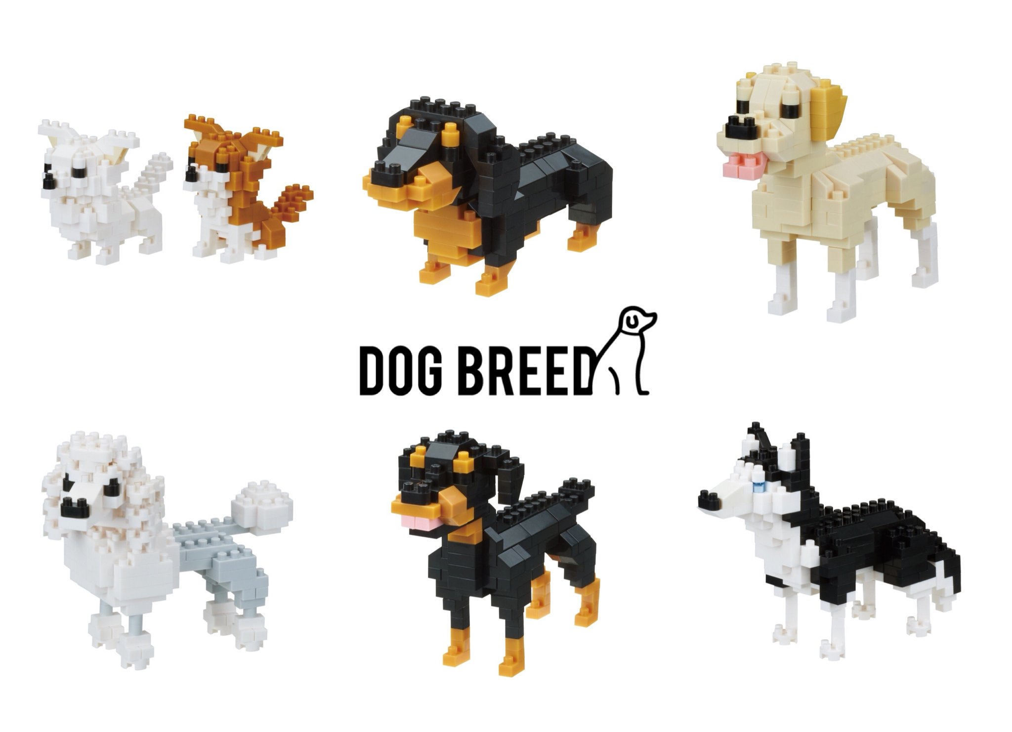 公式 ナノブロック Nanoblock 6月23日発売 ドッグブリード シリーズに新しく6犬種が登場 愛するうちの子を選ぶもよし 造形で選ぶもよしです チワワ ダックスフンド ラブラドールレトリバー プードル ロットワイラー シベリアン